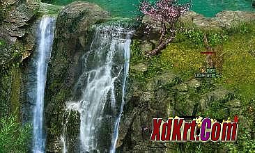 ����ʲô����������