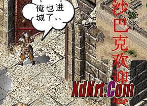 ��ְҵ���湥��