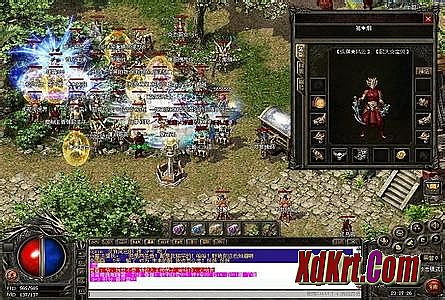 ��ְҵ����˽������